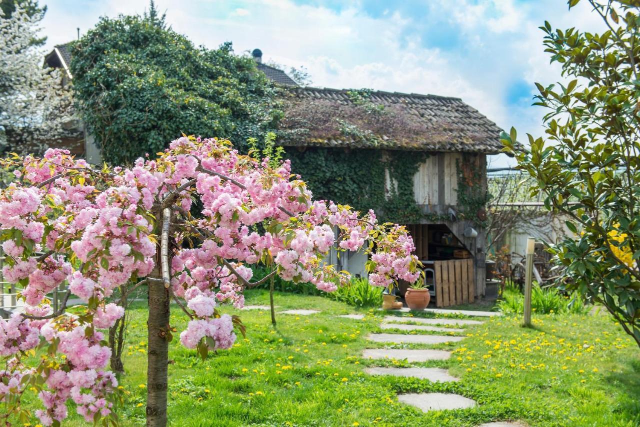 Villa Sonnenschein Terlano Buitenkant foto