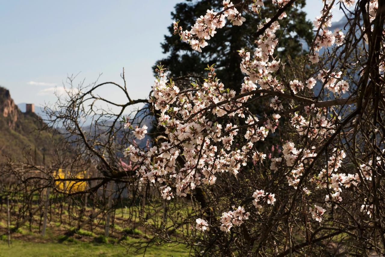 Villa Sonnenschein Terlano Buitenkant foto